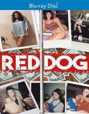Cover for Red Dog (Blu-ray) (2020)