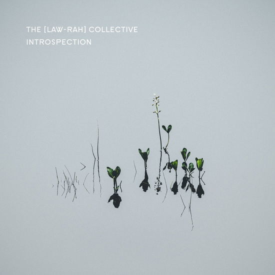 Cover for Law-Rah Collective · Introspection (CD) (2023)