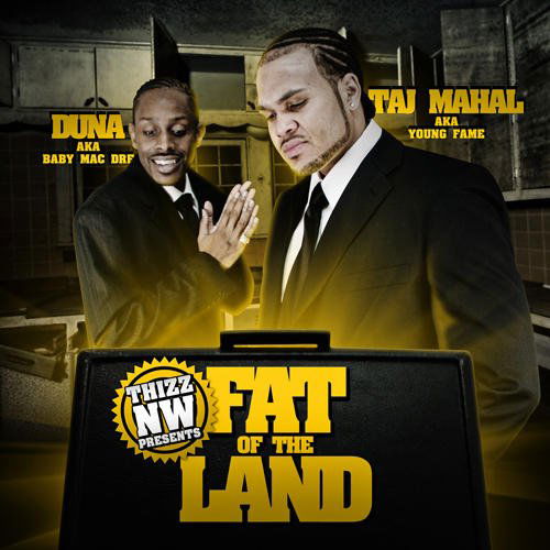 Fat of the Land - Taj Mahal - Musik - R.02 - 0884501362122 - 25. oktober 2010