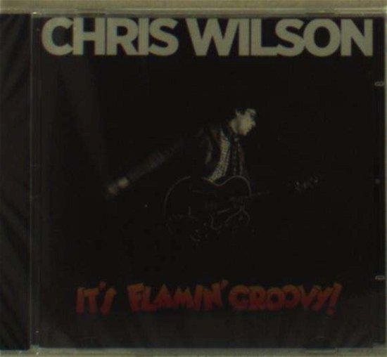 Cover for Chris Wilson · ItS Flamin Groovy (CD) (2013)