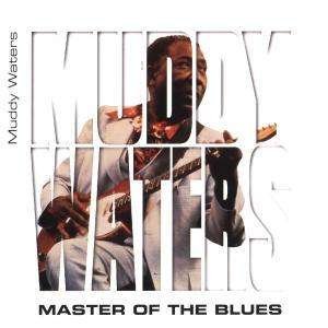 Master of the Blues - Muddy Waters - Musik - NEWSOUND - 5035462107122 - 