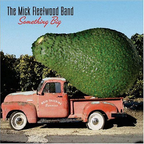 Mick Fleetwood Band the · Something Big (CD) (2004)