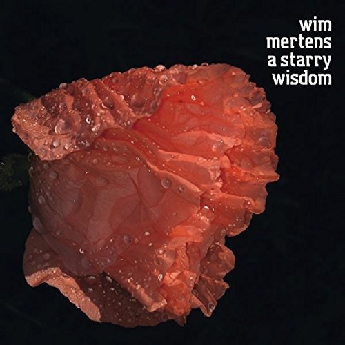 Cover for Wim Mertens · A Starry Wisdom (CD) (2015)