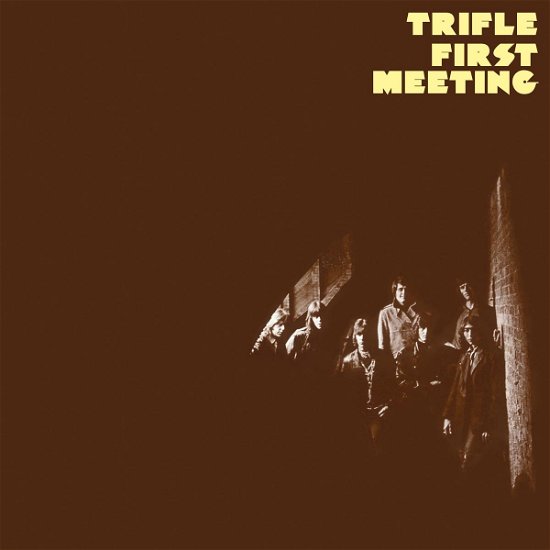 Cover for Trifle · First Meeting (LP) (2017)