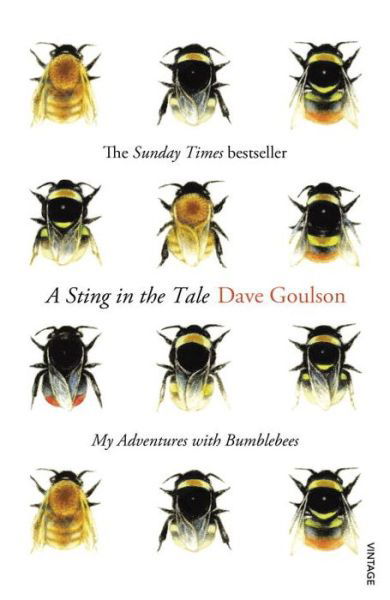 A Sting in the Tale: My Adventures with Bumblebees - Dave Goulson - Books - Vintage Publishing - 9780099575122 - April 24, 2014