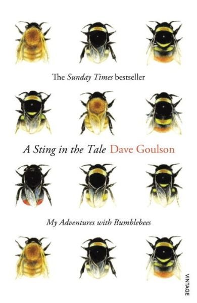 Cover for Dave Goulson · A Sting in the Tale: My Adventures with Bumblebees (Pocketbok) (2014)