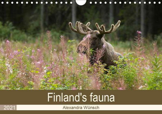 Cover for Wünsch · Finland's fauna (Wall Calendar 2 (Book)