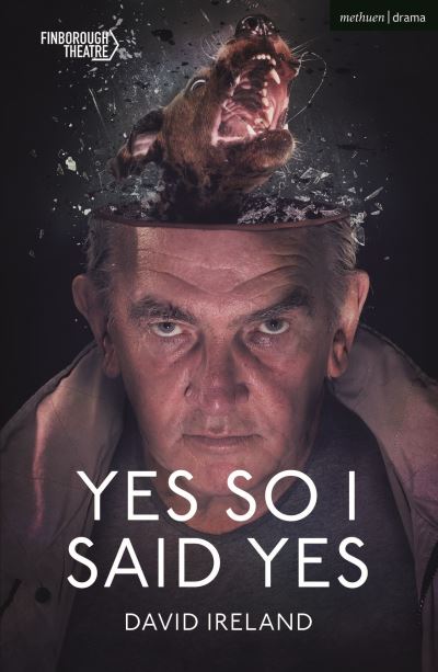 Cover for David Ireland · Yes So I Said Yes (N/A) (2022)