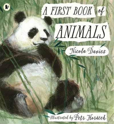 Cover for Nicola Davies · A First Book of Animals (Paperback Book) (2019)