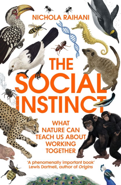 Cover for Nichola Raihani · The Social Instinct: What Nature Can Teach Us About Working Together (Paperback Book) (2022)