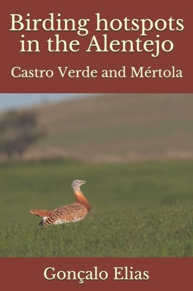 Goncalo Elias · Birding hotspots in the Alentejo (Paperback Bog) (2020)