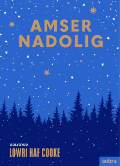 Lowri Cooke · Amser Nadolig (Hardcover Book) (2024)