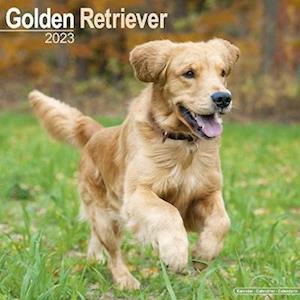 Cover for Kalender · Golden Retriever 2023 Wall Calendar (Calendar) (2022)