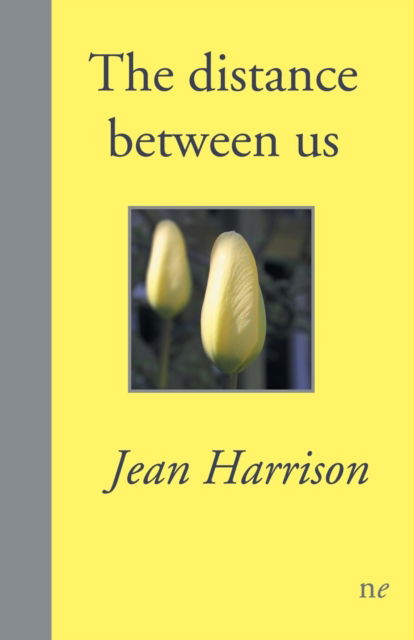 Cover for Jean Harrison · The distance between us (Paperback Book) (2020)