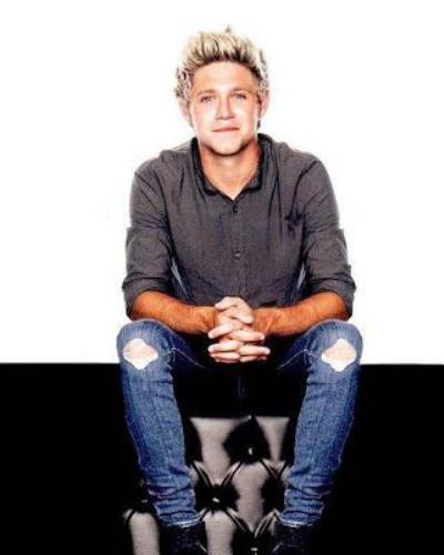 Cover for Darrell Butters · Niall Horan Diary (Paperback Book) (2017)