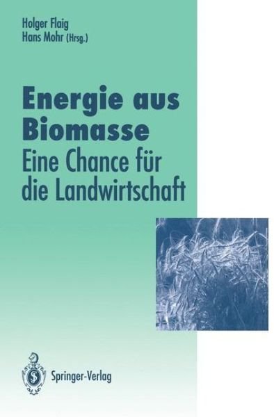 Cover for Holger Flaig · Energie Aus Biomasse - Veroffentlichungen Der Akademie Fur Technikfolgenabschatzung in Baden-wurttemberg (Paperback Bog) [Softcover Reprint of the Original 1st Ed. 1993 edition] (2011)