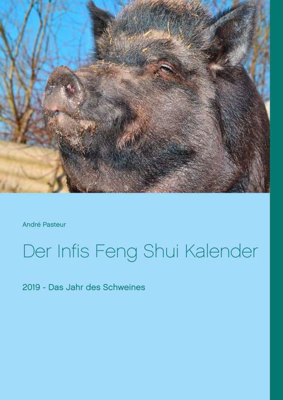 Cover for Pasteur · Der Infis Feng Shui Kalender (Book)