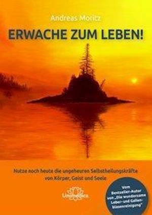 Cover for Moritz · Erwache zum Leben! (Book)