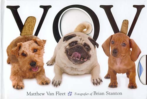 Cover for Matthew van Fleet · Vov (Bound Book) [1st edition] (2008)