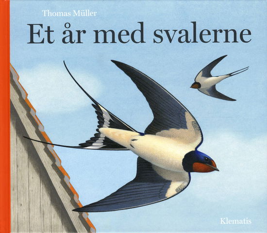 Cover for Thomas Müller · Et år med svalerne (Bound Book) [1st edition] (2012)