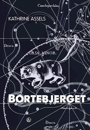 Bortebjerget - Kathrine Assels - Bøger - Jensen & Dalgaard I/S - 9788771518122 - 9. december 2021