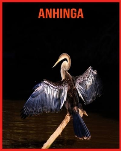 Cover for Linda Davis · Anhinga (Paperback Book) (2021)