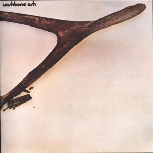 Wishbone Ash - Wishbone Ash - Musik - MCA - 0008811066123 - 13 oktober 1992