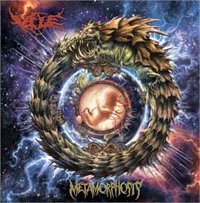 Cover for Vile · Metamorphosis (CD) (2011)