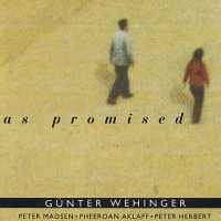 Cover for Guenter Wehinger · As Promised (CD) (2012)