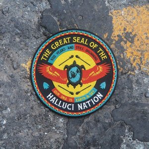 Cover for Halluci Nation · We Are The Halluci Nation (CD) (2021)