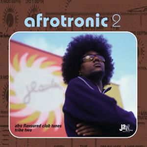 Cover for Various Artists · Afrotronic 2 - Afro Flavoured Club Tunes Tribe 2 (CD) (2013)