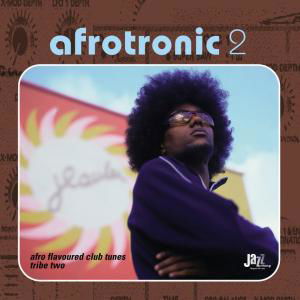 Afrotronic 2 - Afro Flavoured Club Tunes Tribe 2 - Various Artists - Musik - AUDIOPHARM - 0693723712123 - 26. August 2013