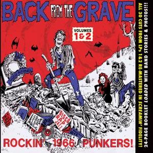 Back From The Grave, Vol. 1 & 2 - Various Artists - Musikk - CRYPT - 0700498000123 - 14. mars 1993