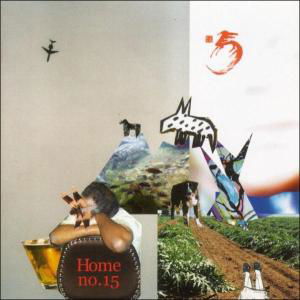 Home Xv - Home - Musiikki - COOKING VINYL - 0711297470123 - perjantai 6. toukokuuta 2005