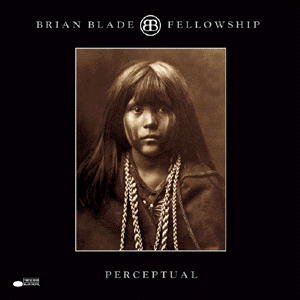 Cover for Brian Blade · Perceptual (CD) (2000)