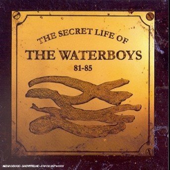 Cover for Waterboys the · The Secret Life Of... (CD) (2004)