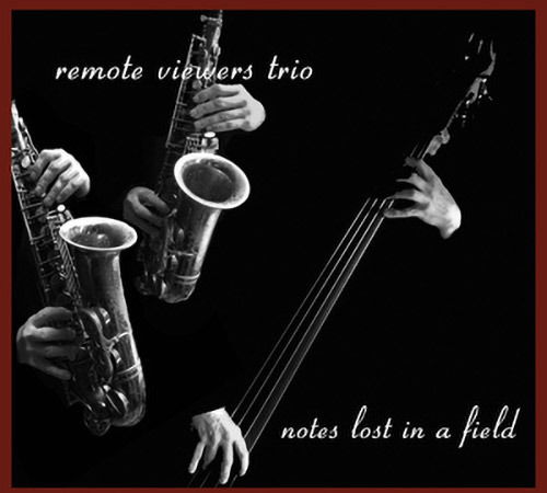 Cover for Remote Viewers Trio · Notes Lost In A Filed (CD) (2019)