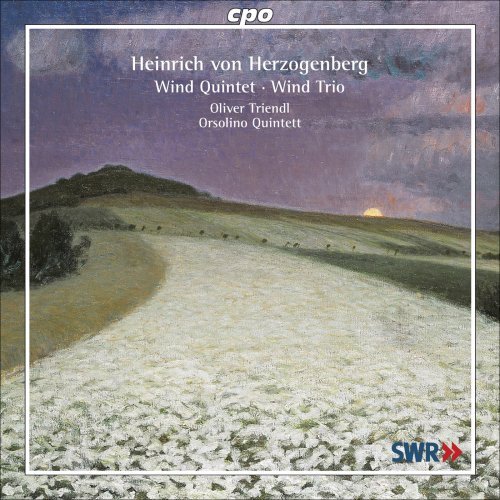 Quintet Op. 43 / Trio Op. 61 - Herzogenberg / Orsolino Quintett / Triendl - Musik - CPO - 0761203708123 - 27. Mai 2008