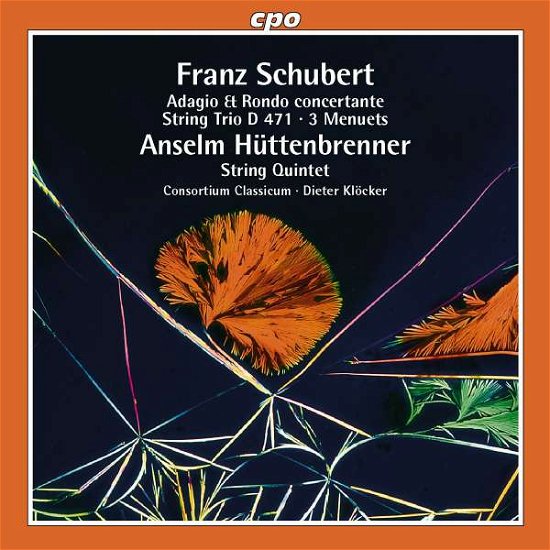 Cover for F. Schubert · Adagio &amp; Rondo (CD) (2001)