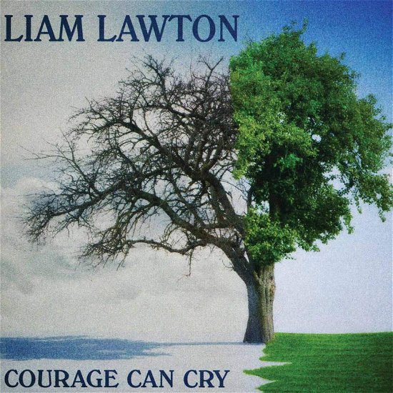 Cover for Liam Lawton · Courage Can Cry (CD) (2010)