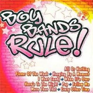 Cover for Various Artists · Dj'S Choice Boy Bands Rule (CD)