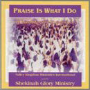 Cover for Shekinah Glory Ministry · Shekinah Glory Ministry-praise is What I Do (CD) (2002)