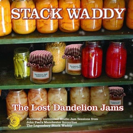 Cover for Stack Waddy · Lost Dandelion Jams (LP) (2013)