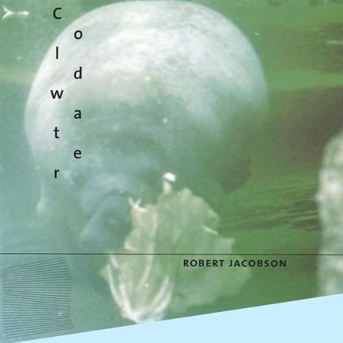 Coldwater - Robert Jacobson - Music -  - 0822961000123 - July 8, 2003