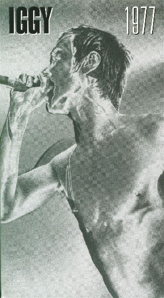 Cover for Iggy Pop · 1977 (CD) (2020)