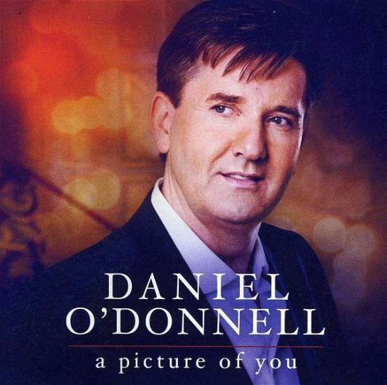 Cover for Daniel O'Donnell · Picture of You (CD) (2013)