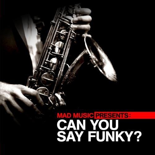 Cover for Mad Music Presents Can You Say Funky / Var · Mad Music Presents Can You Say Funky / Var-Mad Mus (CD) (2012)