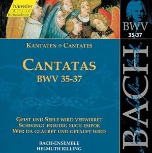 BACH: Kantaten BWV 35-37 - Rilling / Auger / Hamari / Schreier - Música - hänssler CLASSIC - 4010276015123 - 5 de fevereiro de 1999
