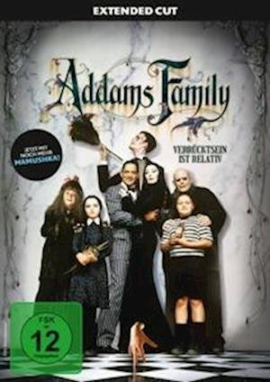 Cover for Barry Sonnenfeld · Addams Family (DVD) (2022)