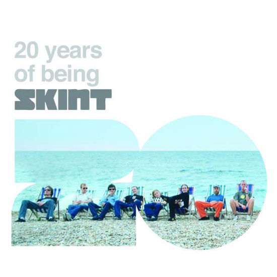 Various Artists - 20 Years of Being Skint - Music - BMG Rights Management LLC - 4050538160123 - September 20, 2001